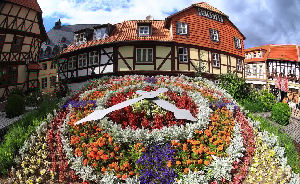 Die Blumenuhr in Wernigerode. Auch in Magdeburg gab es früher eine solche Uhr.