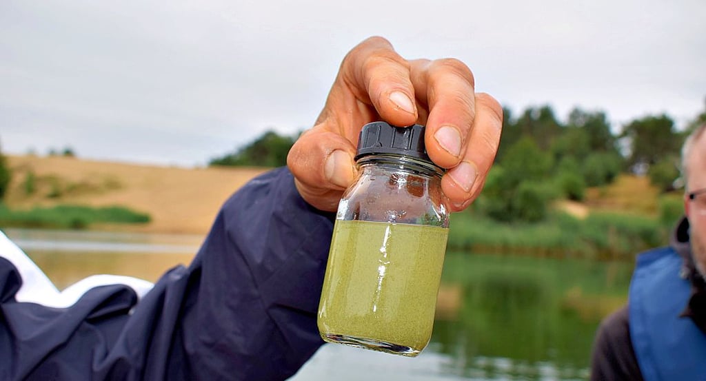 So sieht die Probe aus dem Planktonnetz aus. Im Labor wird sie noch genau untersucht.