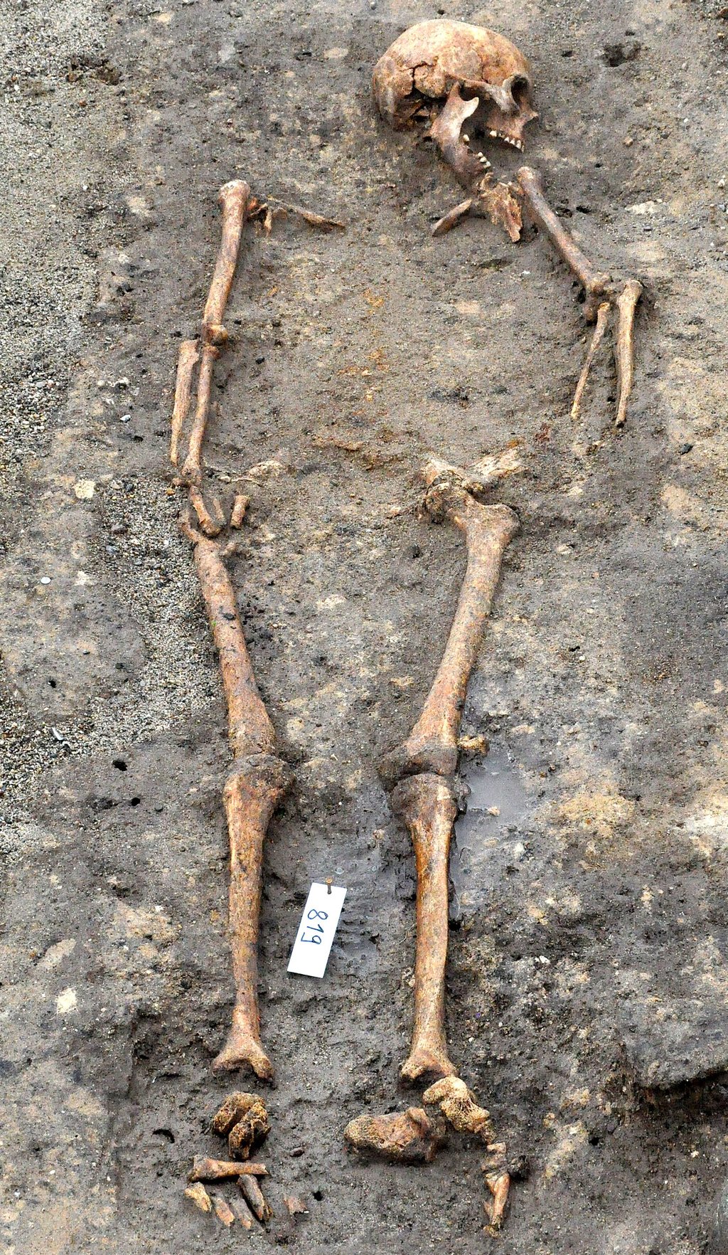 Bei den Ausgrabungen in Egeln haben die Archäologen rund 500 Gräber gefunden. Die zeitliche Bandbreite reichte von 5500 vor Christi bis um das Jahr 1500.