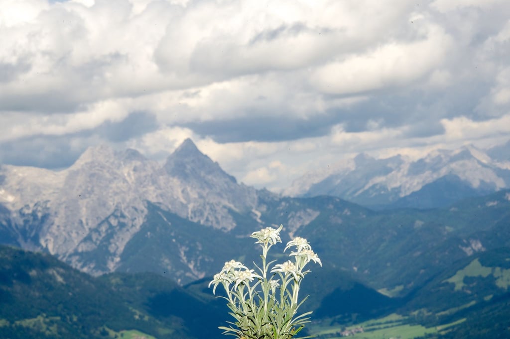 In den Tiroler Alpen ist ein Ehepaar aus Bayern schwer verunglückt - der Mann überlebt nicht. (Archivbild)