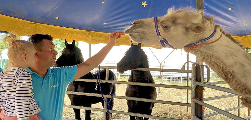 Bewohner aus Magdeburg haben mit Spenden geholfen, dass die Mitarbeiter während der Pandemie die Tiere vom Zirkus versorgen konnten.