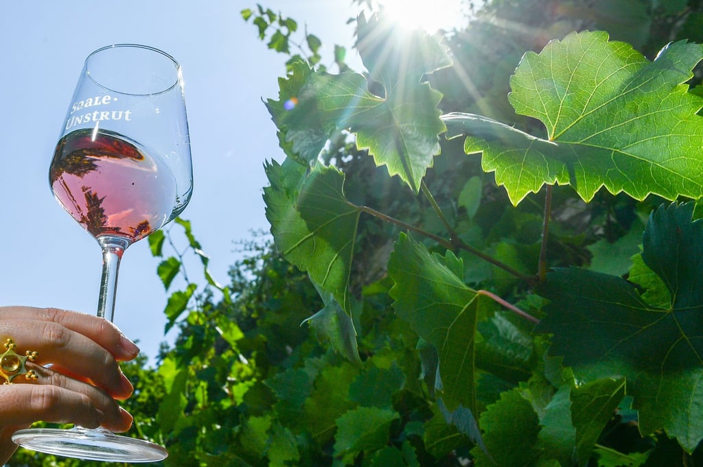 Ein Weinglas mit Rose-Wein wird von einer Hand gehalten.