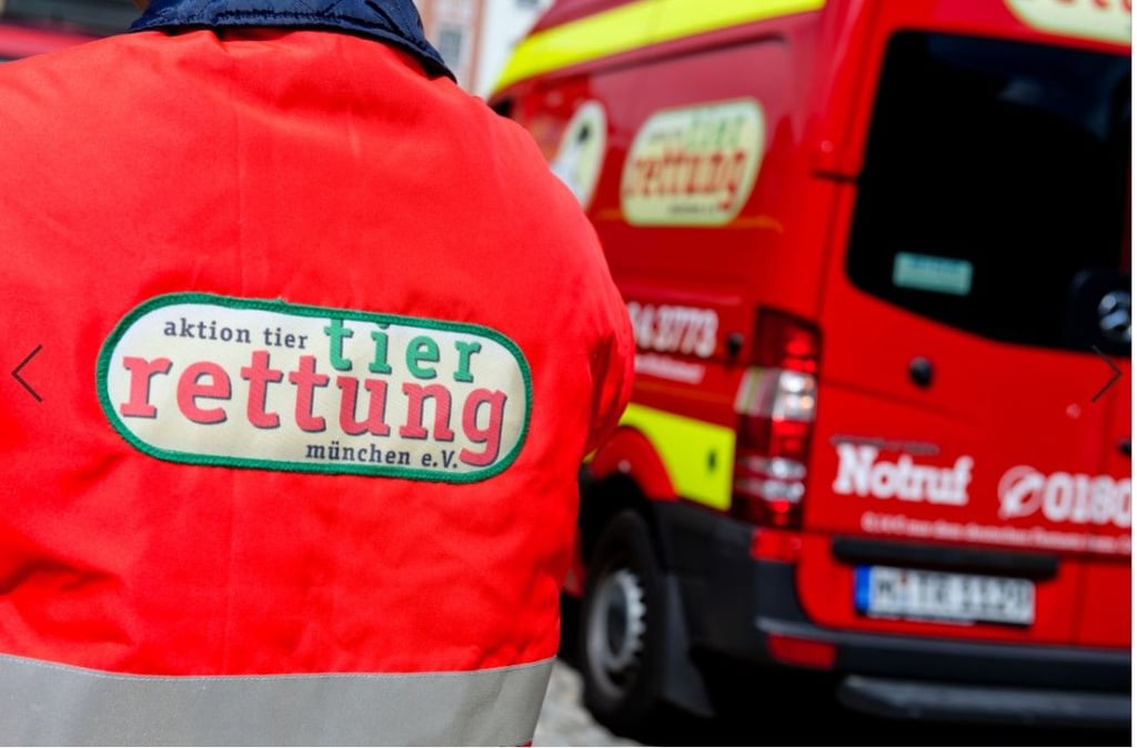 Die Tierrettung der Feuerwehr in Wernigerode hat heute zwei Hunde aus einem in der Sonne aufgeheizten Auto befreit.