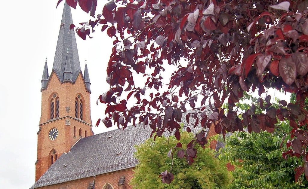 Das Dach des Kirchenschiffes der Katharinenkirche bedarf dringend einer Sanierung. Leader-Mittel sollen helfen.