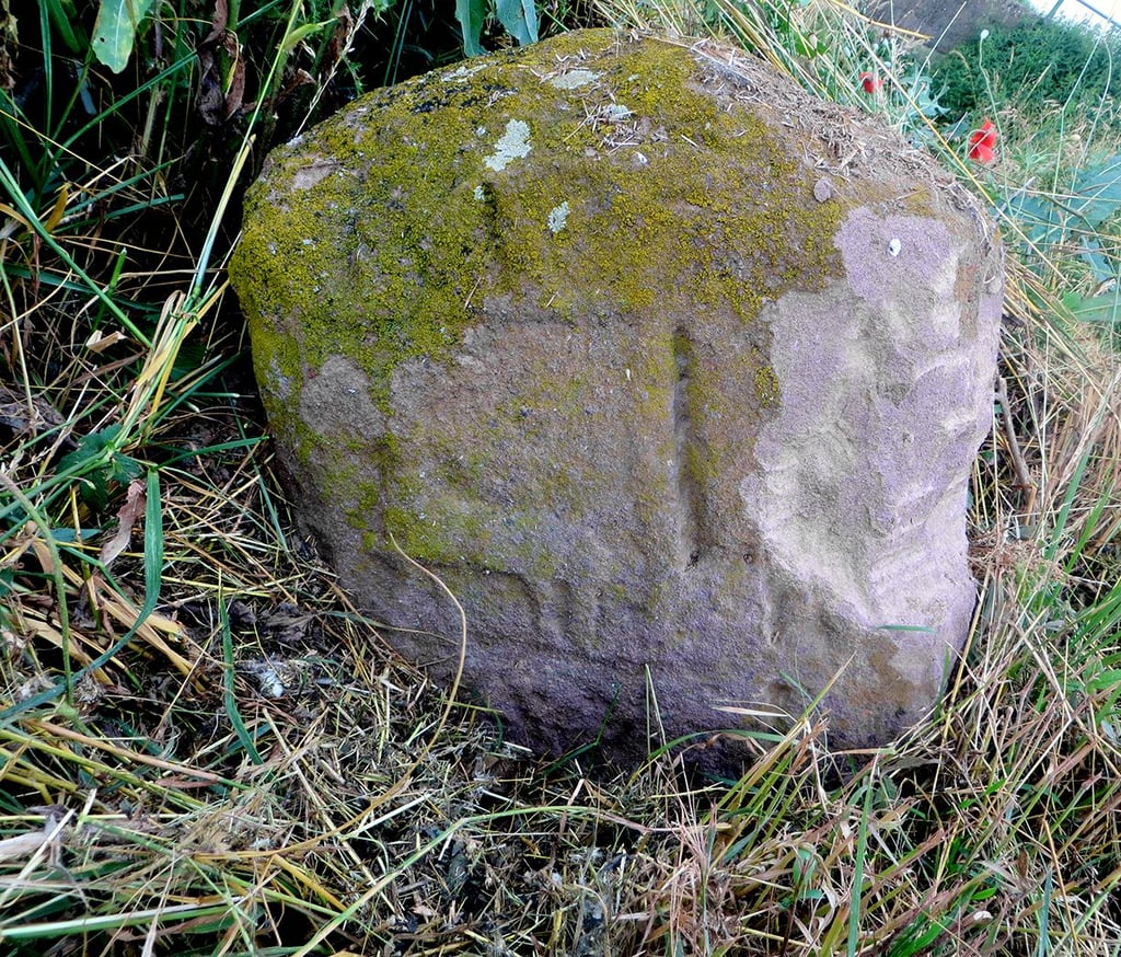 Der beschädigte Grenzstein in Rosperwenda.