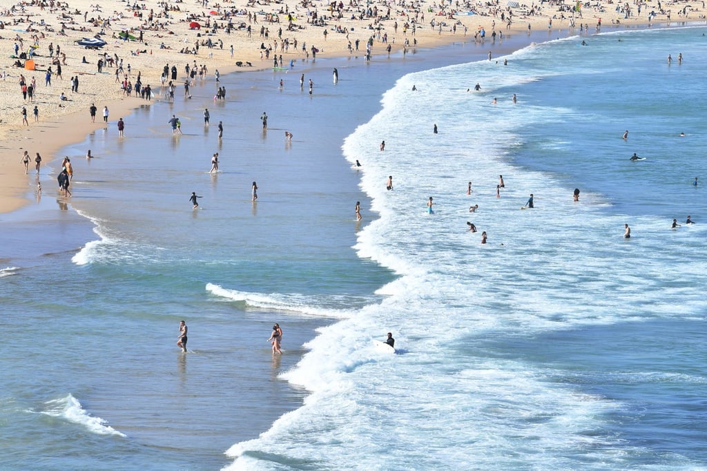 Sydneys berühmter Bondi Beach ist wegen zahlreicher Haie im Wasser vorübergehend geschlossen worden.