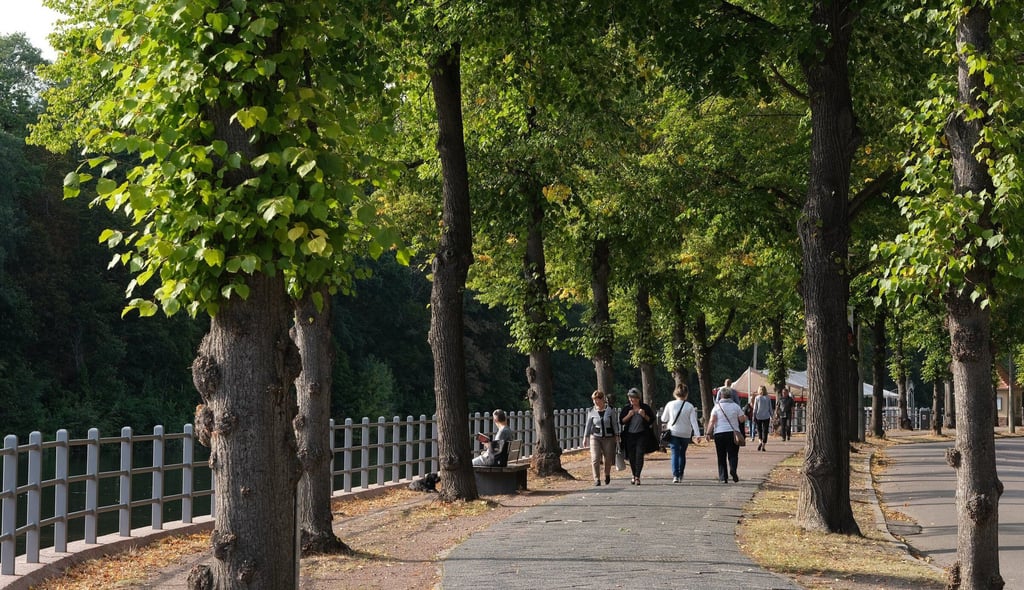Riveufer Richtung Giebichensteinbrücke