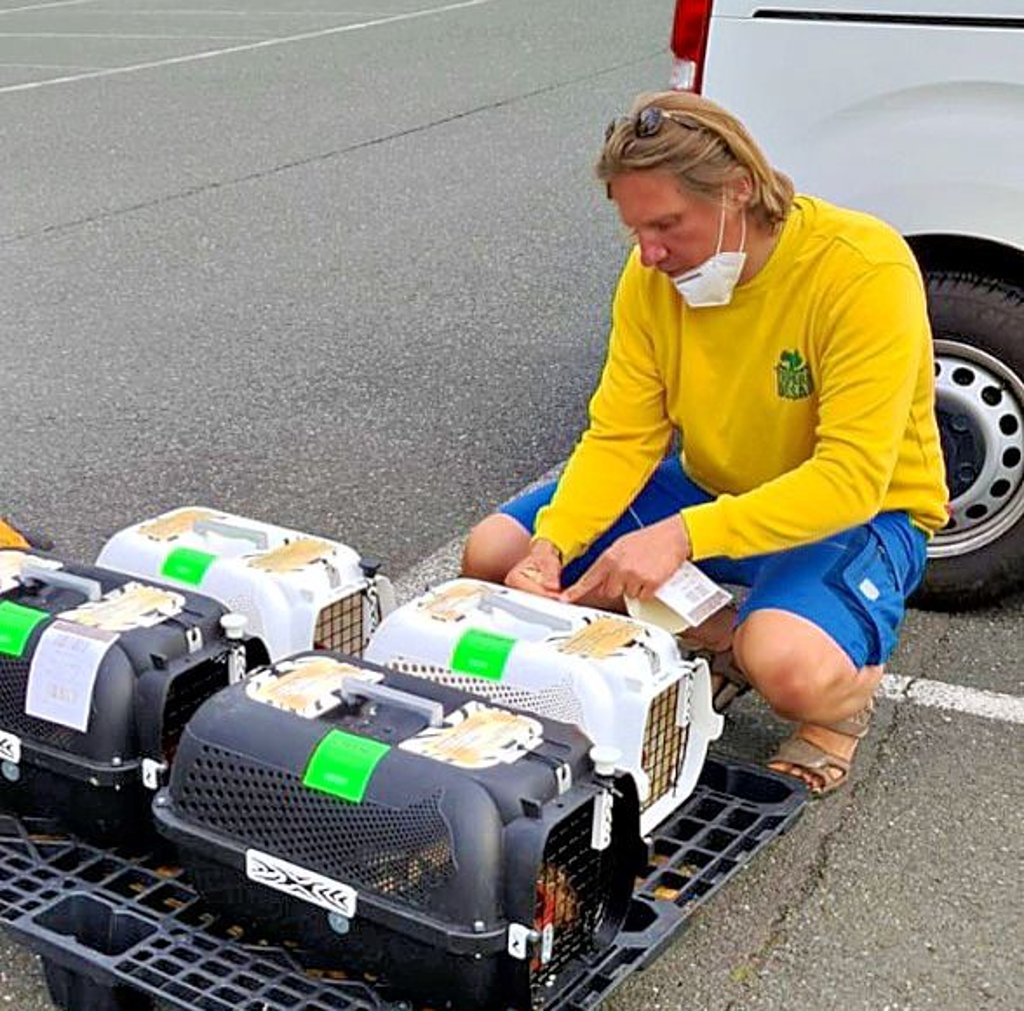 Tierparkchef Jan Bauer kontrolliert ein letztes Mal die Transportkisten.