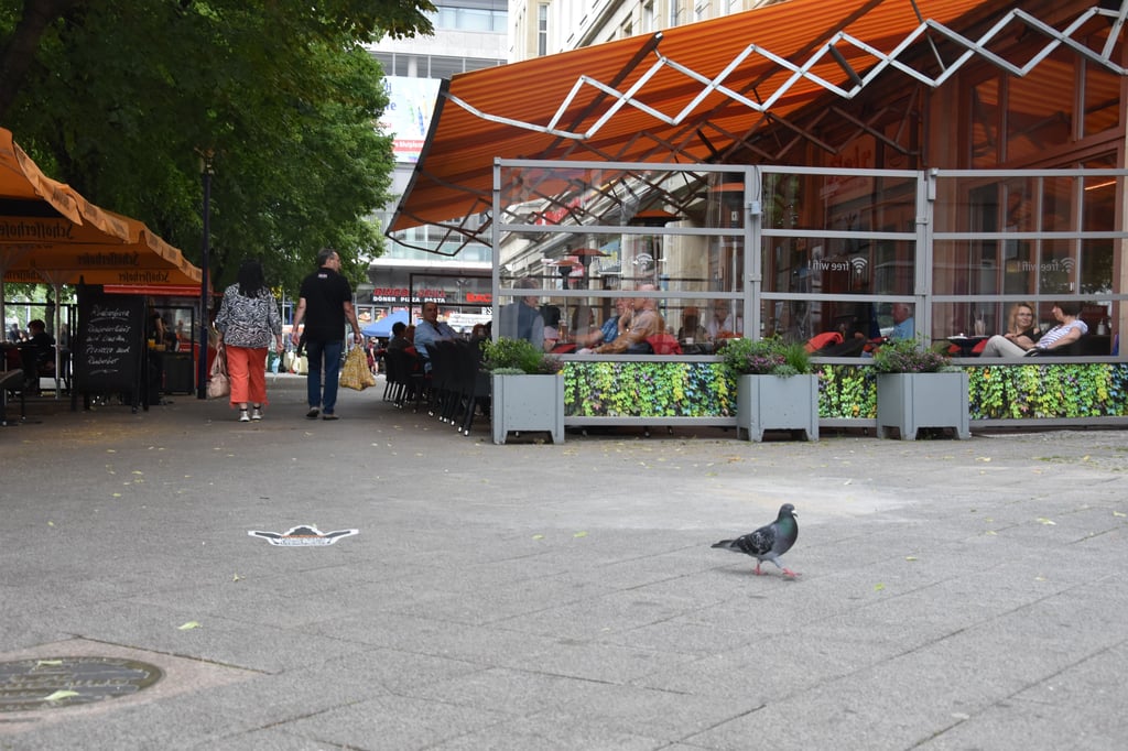 Momentaufnahme: Einsam spazierte eine Taube am Donnerstagnachmittag, 8. Juli 2021, in der Magdeburger Innenstadt zwischen Café Flair und Mc Donald's hin und her. Von ihren Artgenossen war weit und breit keiner zu sehen. Hat Magdeburg wirklich ein Taubenproblem?