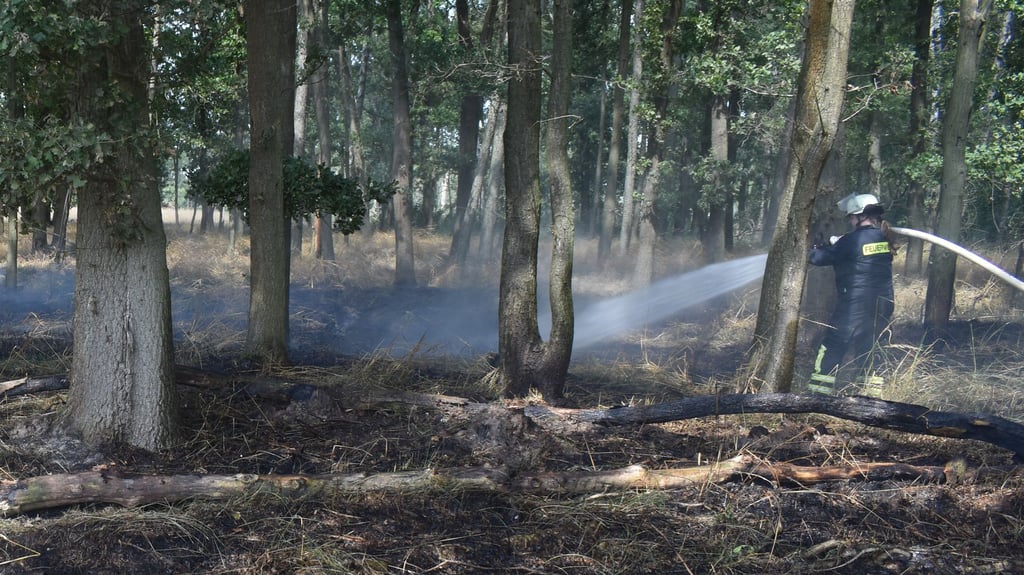 Die Feuerwehr hat einen Wald- und Ackerbrand bei Petersmark gelöscht.