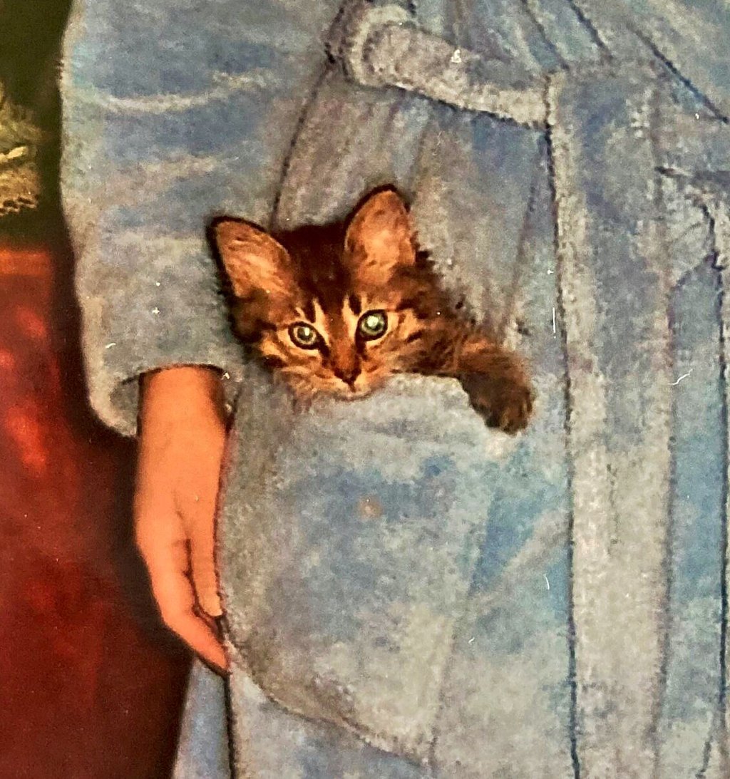Rambo im Bademantel.