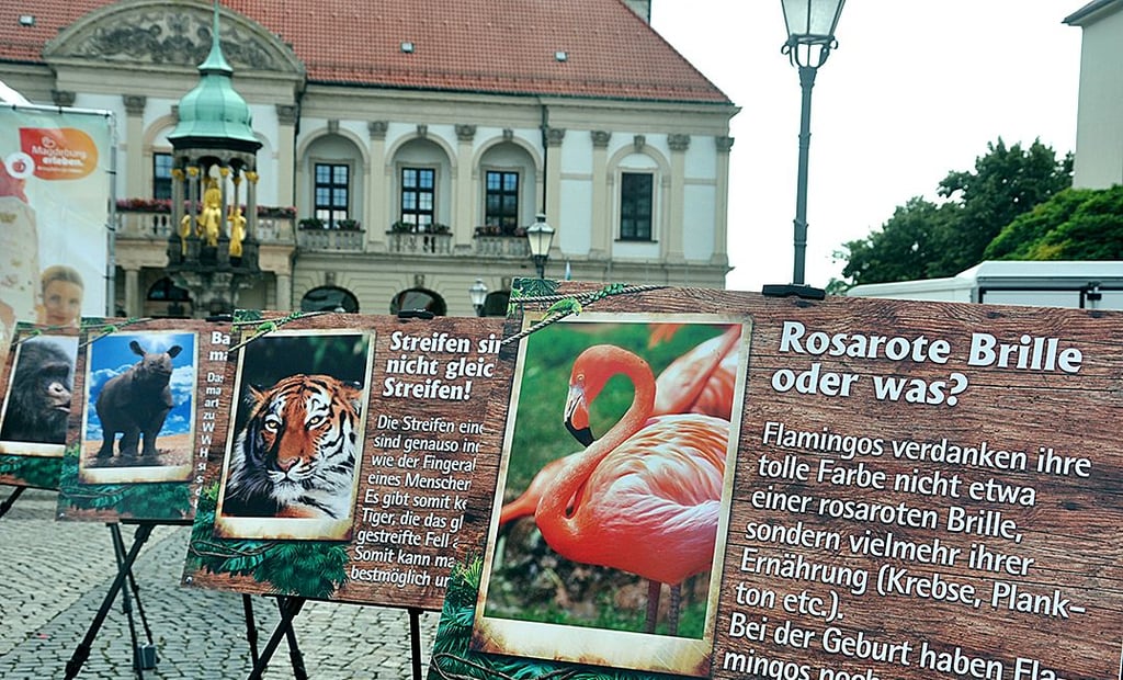 Auf dem Alten Markt gab es Wissen für Kinder.