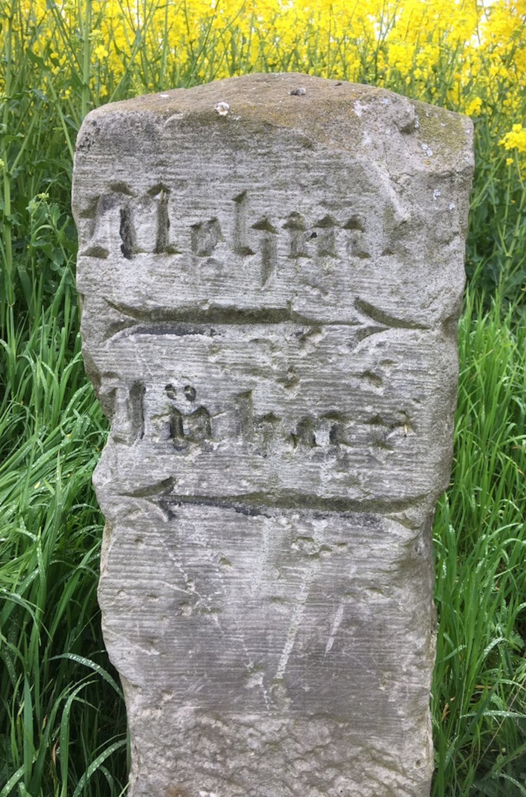 Der Wegestein zeigt unter anderem an, wo es auf dem alten Postweg nach Mehmke und nach Jübar geht.
