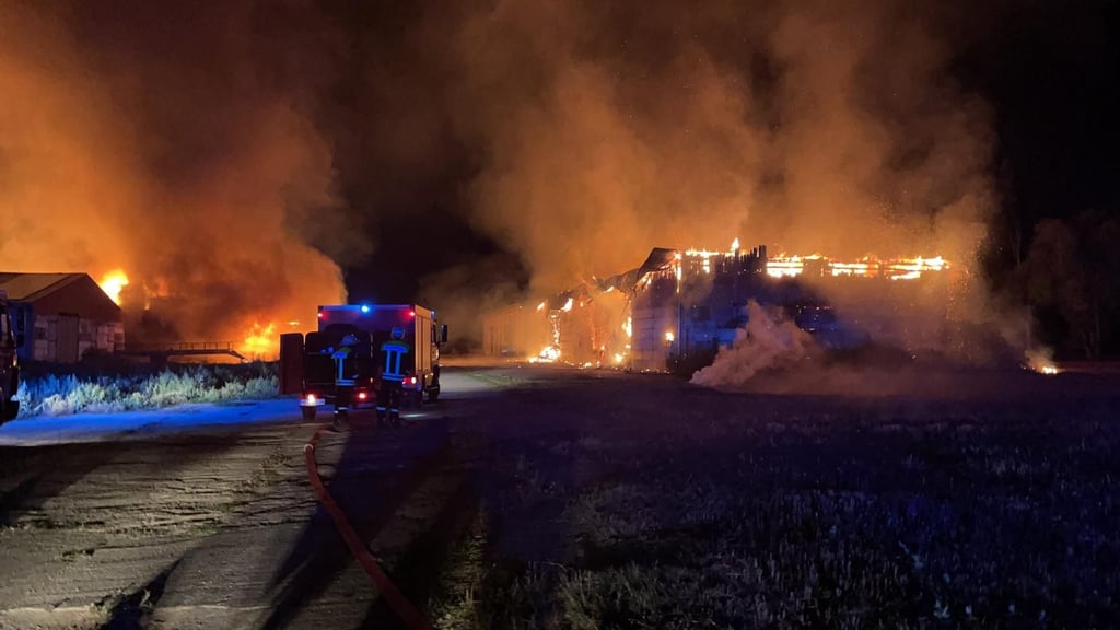Zwei Lagerhallen eines landwirtschaftlichen Betriebes zwischen Schwanebeck und Nienhagen sind über Nacht in Brand geraten. Die Brandursache ist bisher unklar.
