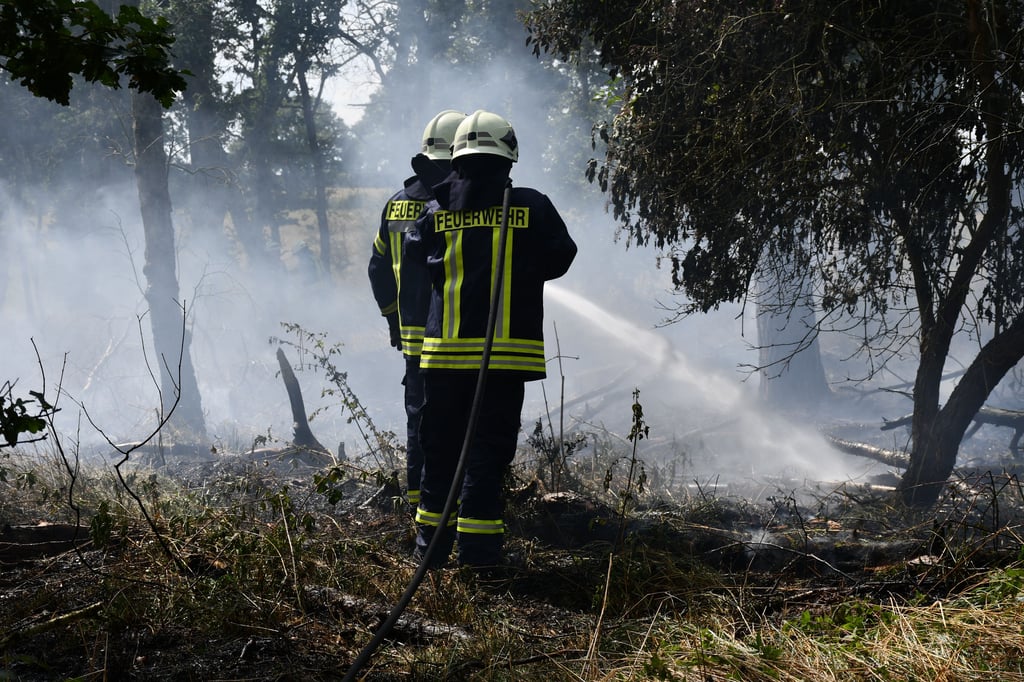 Meter für Meter des Waldbodens mussten abgelöscht werden.
