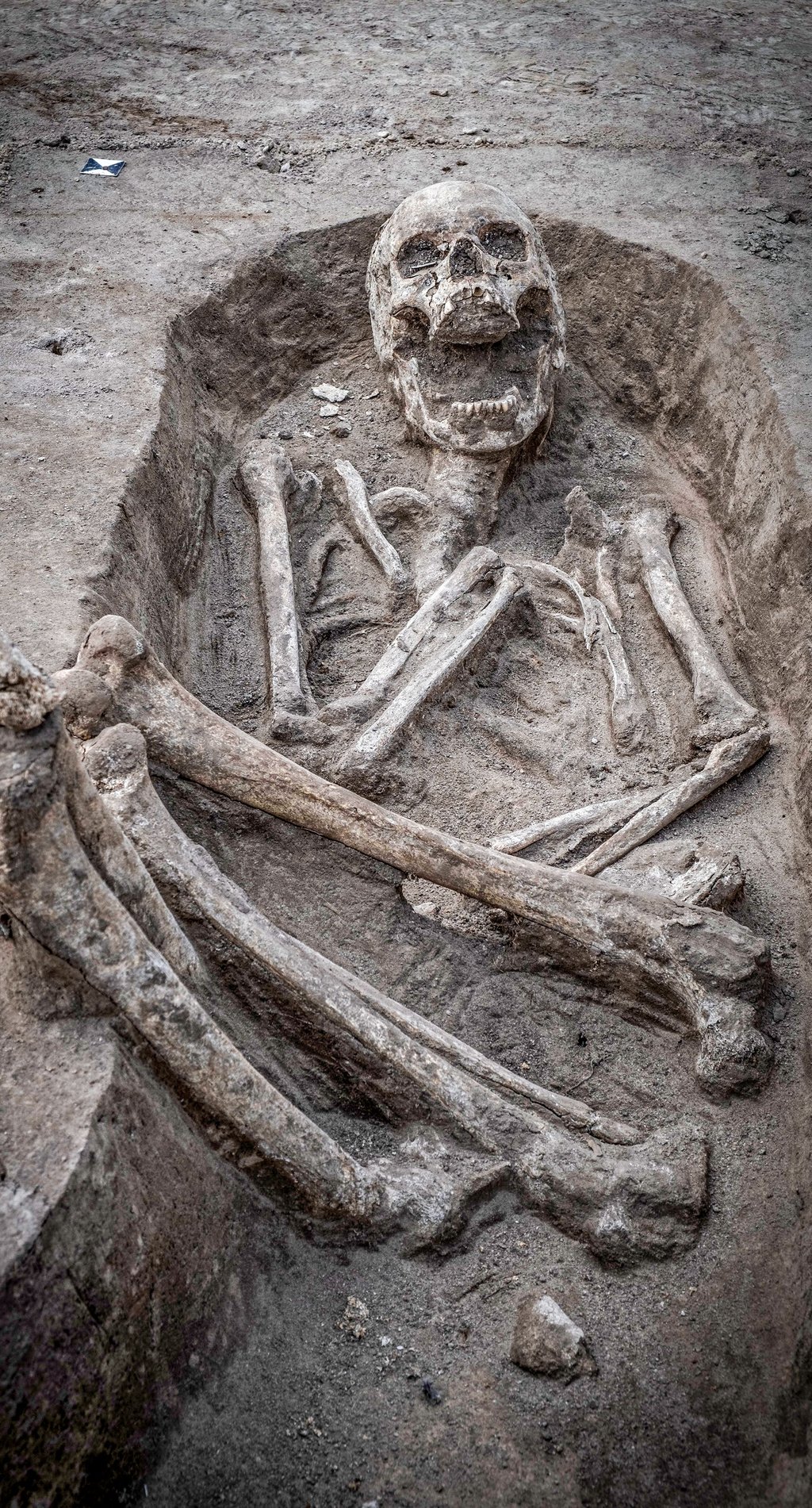 Die bei Bennstedt gefundenen Skelette könnten laut Archäologen Opfer eines Kampfes gewesen sein.