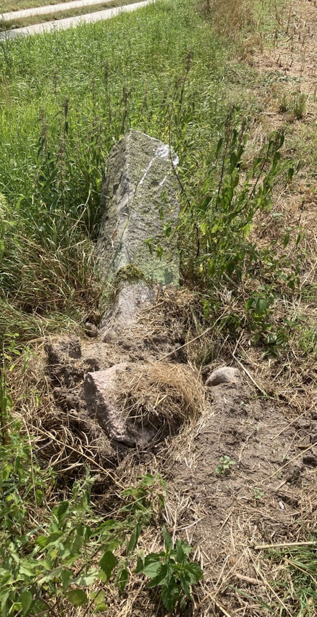 Derzeit liegt der Wegestein am Ackerrand – umgefahren von einer Erntemaschine, aber glücklicherweise nicht beschädigt.