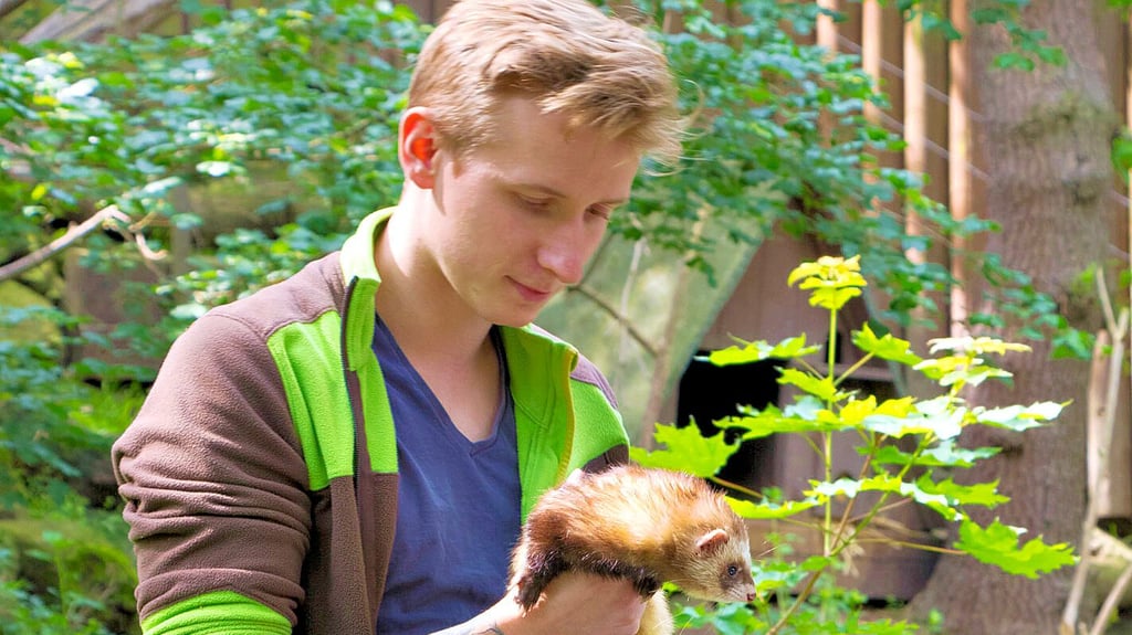 Schaufütterungen stehen auf dem Programm des Tiergartenfestes in Halberstadt.