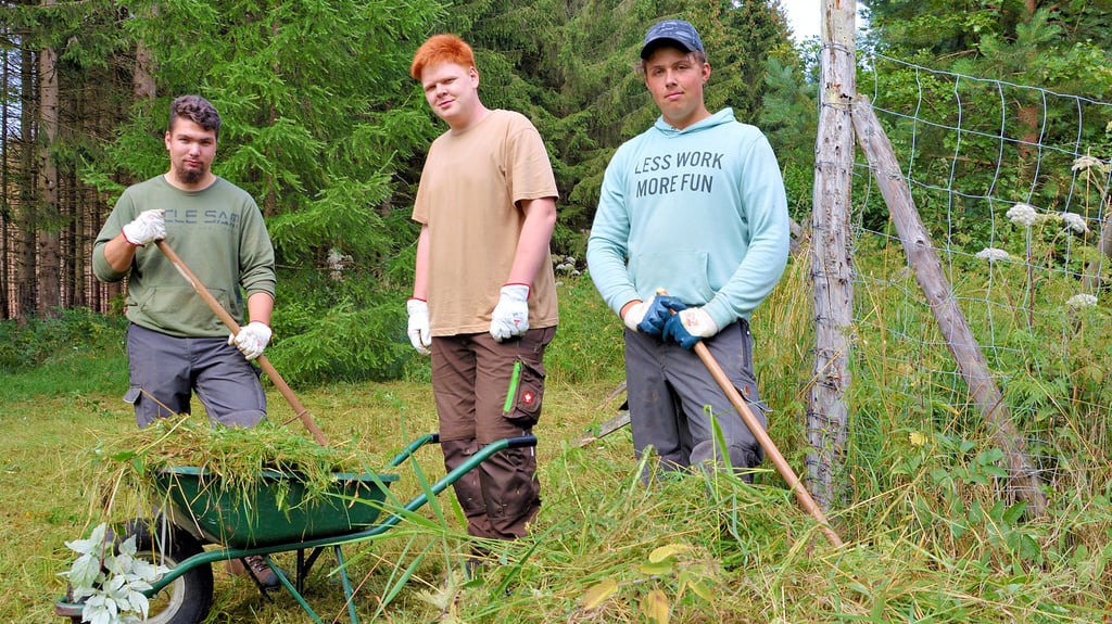 Niklas Enrico Siedentopf, Kai Hermann und Philipp Ihring (von links) haben im August eine Ausbildung zum Forstwirt im Betreuungsforstamt Elend begonnen.