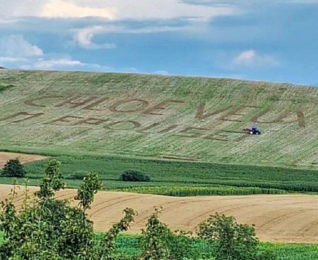 Der Antrag auf einem Rapsfeld.