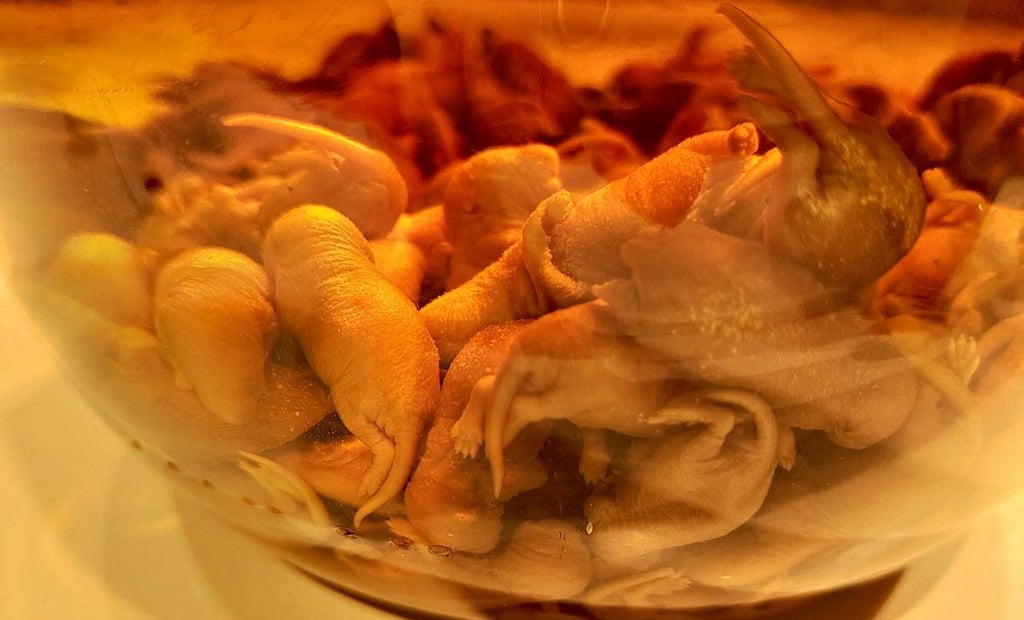 Lecker Mäusewein trifft nicht jedermanns Geschmack. Die Chinesen schwören drauf, als Aperitif oder Medizin gegen Leberleiden.