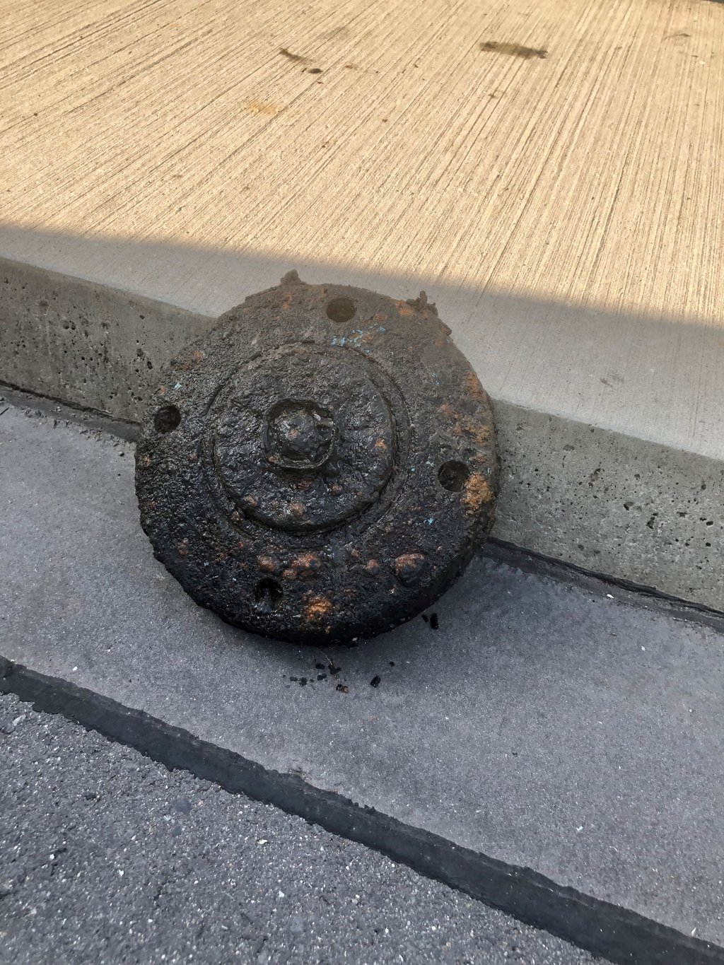 Die Panzermine nach der Bergung.