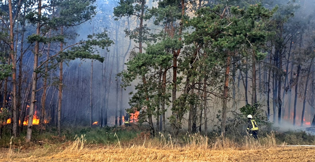 Auch in den Waldbrand Steutz Rietzmeck Juli 2019