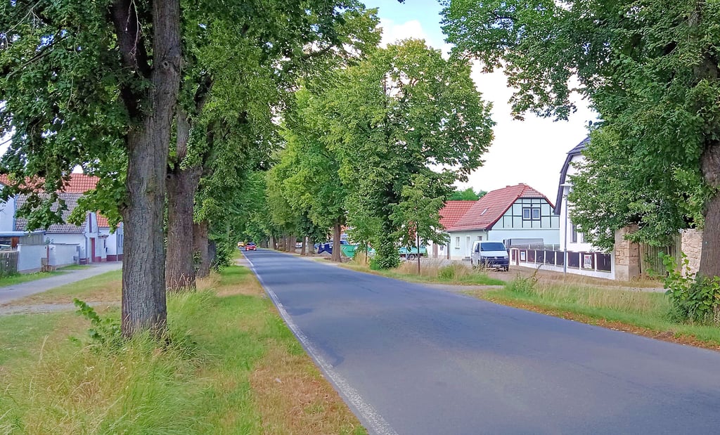 Der Zustand der öffentlichen Grünanlagen in Reinstedt, hier der Witteanger, gibt Einwohnern immer wieder Anlass zur Kritik.