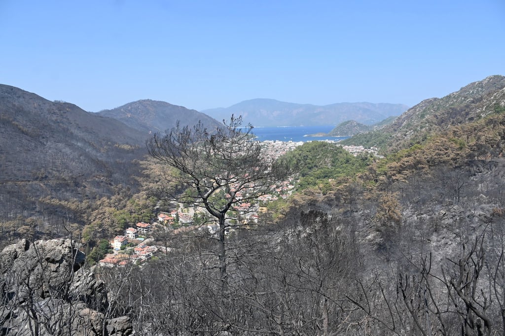 In der bei Touristen beliebten Region Marmaris hat das Feuer ganze Landstriche verbrannt zurückgelassen.
