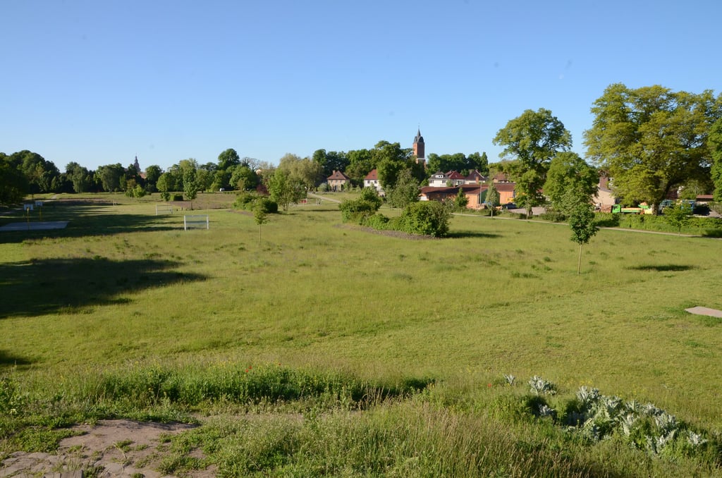 Der Bürgerpark wird zum Kinosaal.