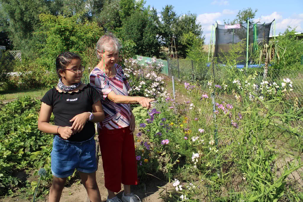 Die achtjährige Meshwa hat mit Erika Schütze zusammen eine Blühwiese für Bienen und Hummeln gesät.
