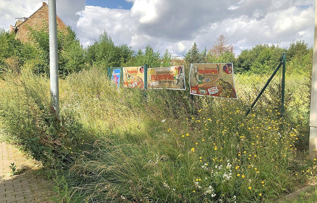 Nach dem Abriss in der Naumburger Straße: Es wächst.