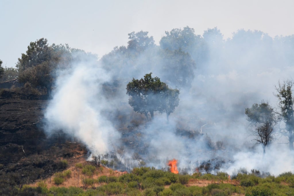 Lodernde Flammen in einem Pinienwald an den Hängen des Ätnas.