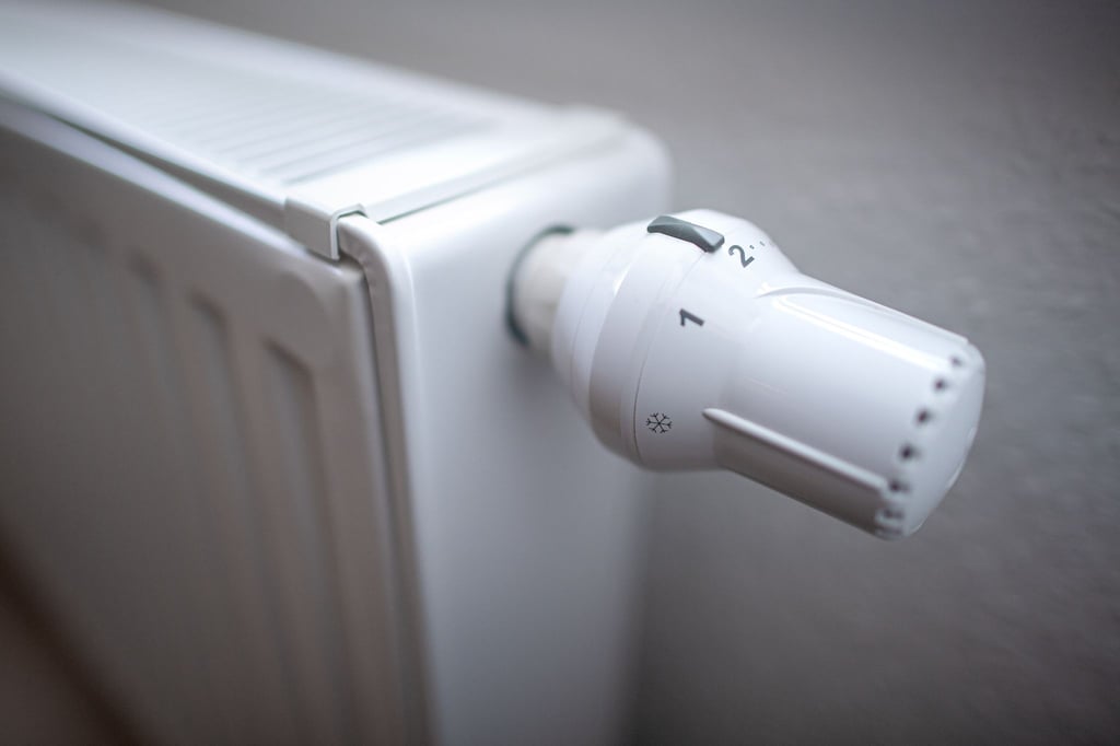 Das Thermostat einer Heizung. Die Menschen in Deutschland haben erneut mehr Energie zum Wohnen verbraucht.