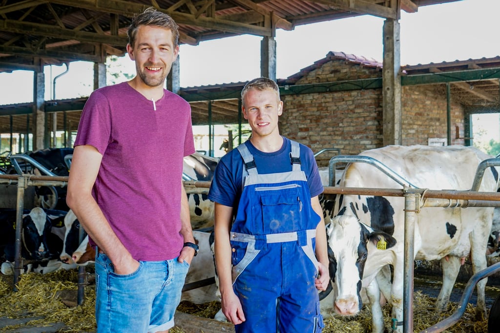 Kees de Vries (junior) mit seinem Azubi Kevin Adamski auf seinem Hof in Deetz. Kevin macht eine Ausbilung zum Tierwirt.