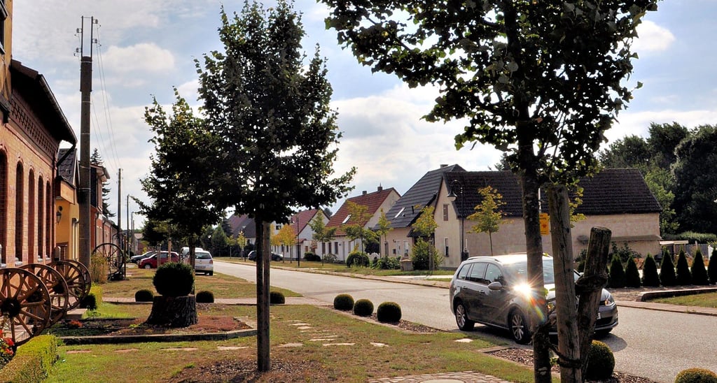 Als aufgrund von Straßenarbeiten vor einigen Jahren die alten Linden an der Lindenallee in Laatzke gefällt werden mussten, bestanden die Anwohner darauf, dass neue gepflanzt werden. Sie kümmern sich auch persönlich darum, dass die Bäume wachsen und gedeien.
