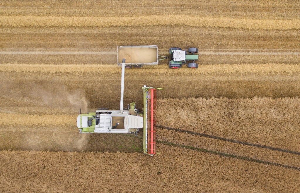 Ein Mähdrescher erntet Getreide auf einem Feld mit Gerste.
