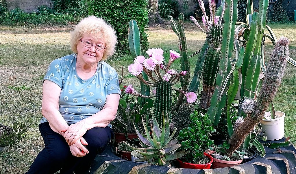 Seit mehr als 50 Jahren besitzt Rita Glaß ihre Kakteen. Besonders an der farbenfrohen Blütenpracht erfreut sich die 76-jährige Oebisfelderin jedes Jahr aufs Neue.