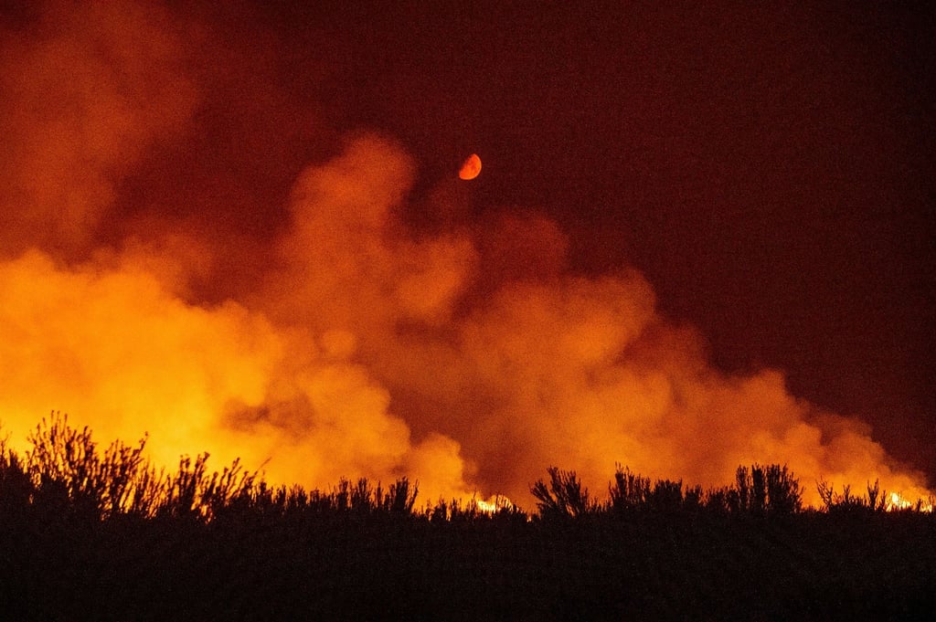 Durch die kritische Wetterlage in der Region haben sich mehrere Waldbrände in Nordkalifornien ausgebreitet.