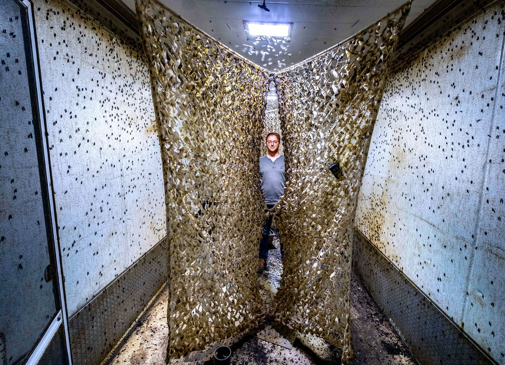 Der Herr der Fliegen: ?Madebymade?-Gründer Kai Hempel schaut im Insekten-Aufzucht-Container nach dem Rechten.