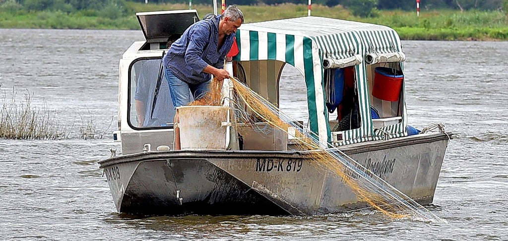 Seit gut zwei Jahren hat der 47-jährige Reik Rosenkranz die Elbe zwischen Breitenhagen und Coswig vom Land gepachtet.