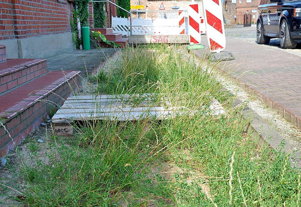 Blick auf den Baustellen-Bereich. Das Gehweg-Pflaster ist weg, auf seinem zugeschütteten Verlauf wächst Grün.