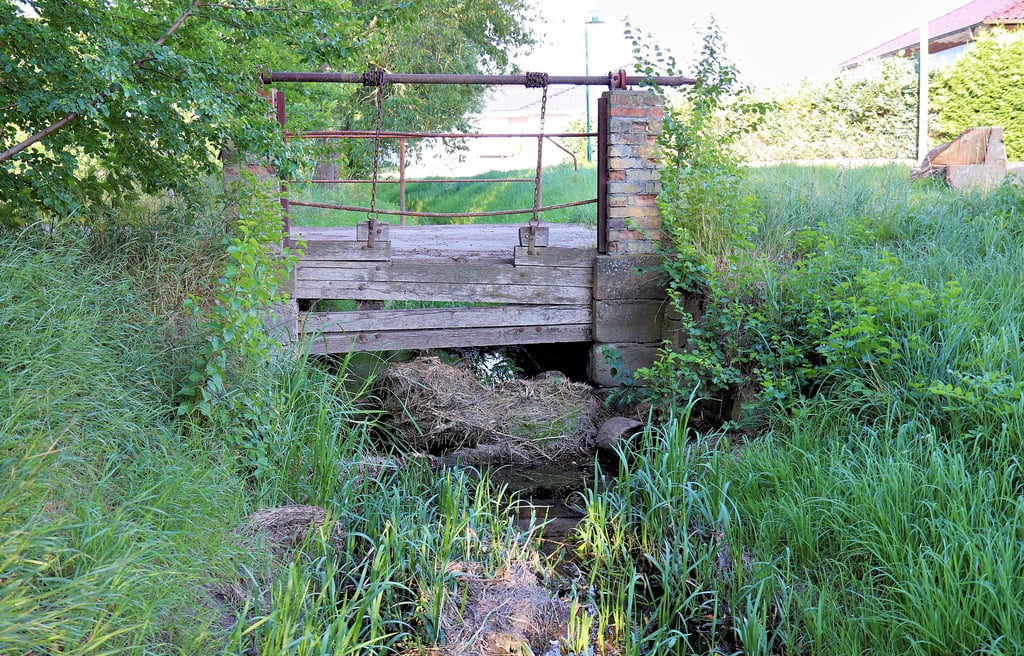 Dieser Graben in Schlanstedt steht ganz oben auf der Liste des Unterhaltungsverbandes Großer Graben. Gut zu erkennen ist der Baumstumpf, den Unbekannte einfach im Graben entsorgt haben. Das ist keine Kavaliersdelikt, weil nun das Wasser nicht mehr ungehindert abfließen kann und sich Geäst und Grünzeug ansammelt.