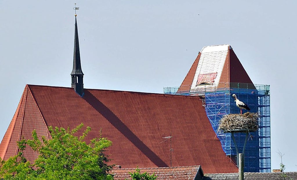 Meister Adebar fühlt sich in Werben in Nachbarschaft der Elbe wohl. Die mächtige St. Johanniskirche überragt die Hansestadt.
