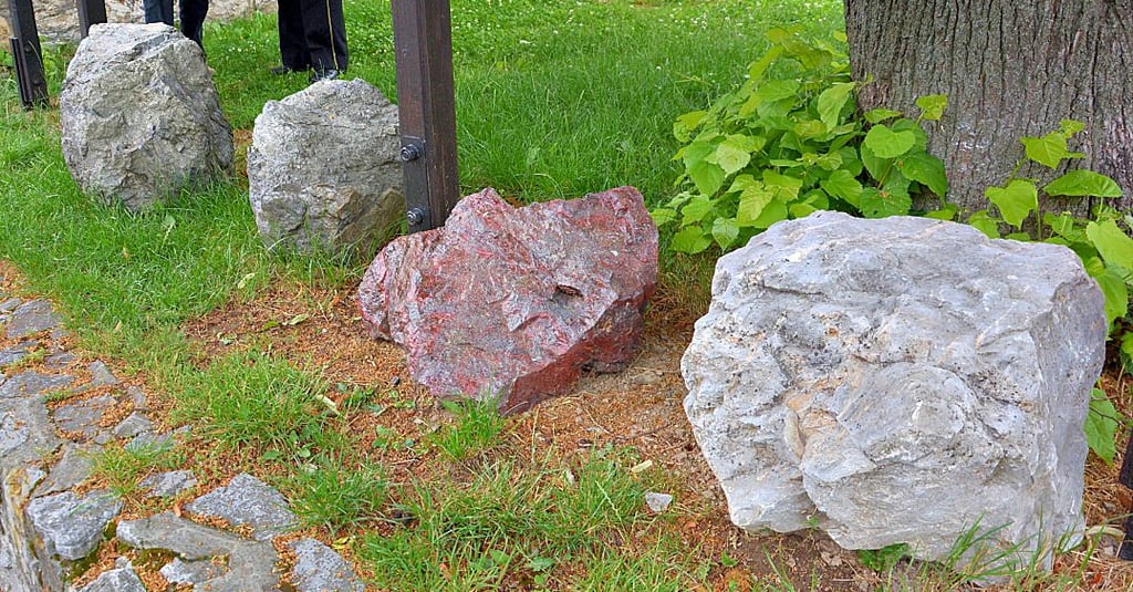 Diese Mineralienbrocken ergänzen die neue Schautafel zur Harzer Bergbaugeschichte. Von links: Pyrit, Kalk, Roteisen, Kalk.