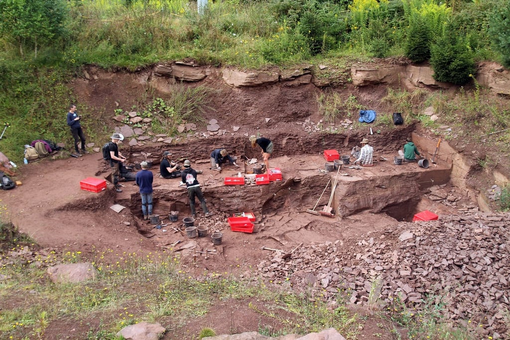 Ein Team aus Paläontologen und Geologen gräbt am Bromacker.
