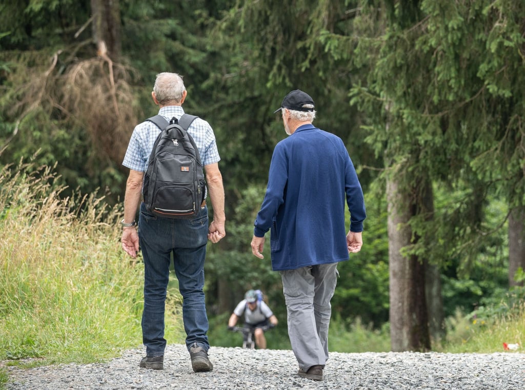 Zwei Wanderer und ein Radfahrer sind auf einem Wanderweg unterwegs.