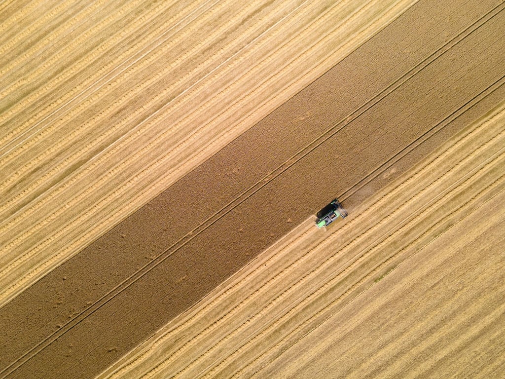 Eine Erntemaschine für Getreide fährt über ein Feld.