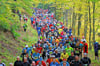 Der Harz-Gebirgslauf geht 2021 mit deutlich reduziertem Streckenangebot über die Bühne. Für den Brocken-Marathon haben sich bereits 400 Teilnehmer angemeldet.