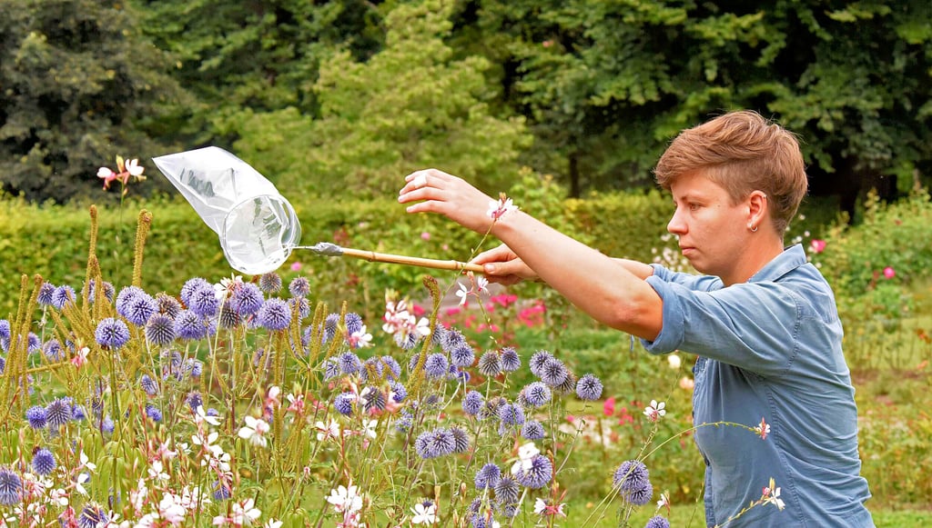 Die Wissenschaftlerin Jonna Heuschele ist unter anderem in Aschersleben unterwegs, um Bienen zu fangen.